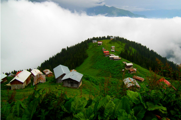 Trabzon Otel